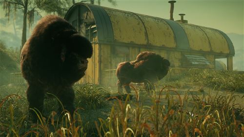 Rage 2 PS4 | Prix Maroc - Vue 2