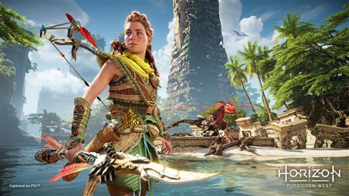 Jeu PS5 Horizon Forbidden West | Prix Maroc - Vue 4