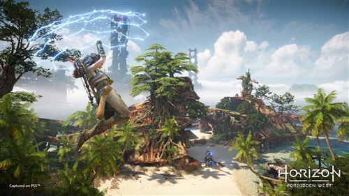 Jeu PS5 Horizon Forbidden West | Prix Maroc - Vue 3