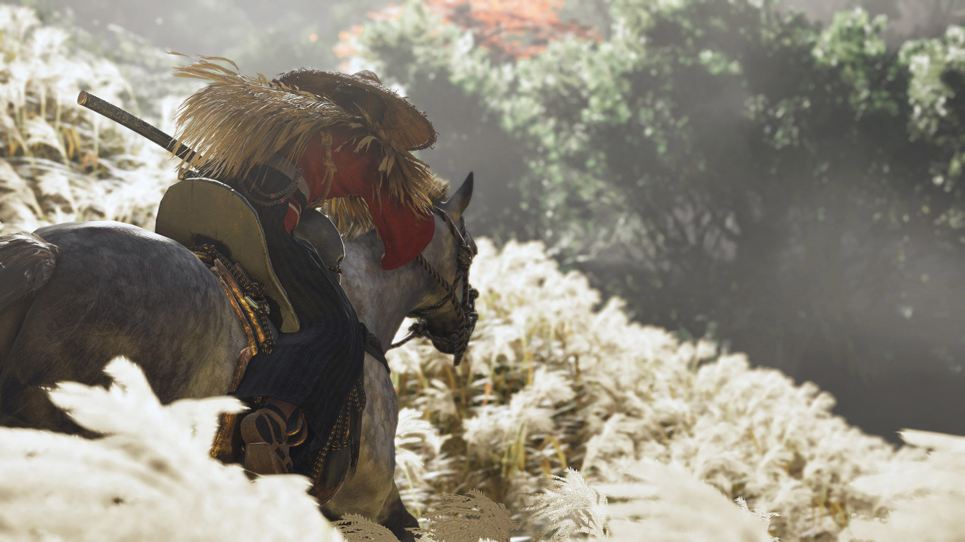 Ghost of Tsushima – PS4 - Vue 4