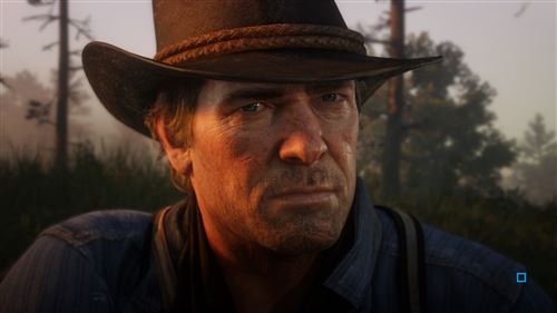 Red Dead Redemption 2 – PS4 - Vue 6